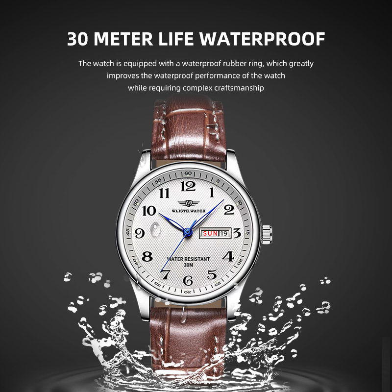 WLISTH Luxury Brand Men's Watc - Luxury Watch Investment 评论和价格