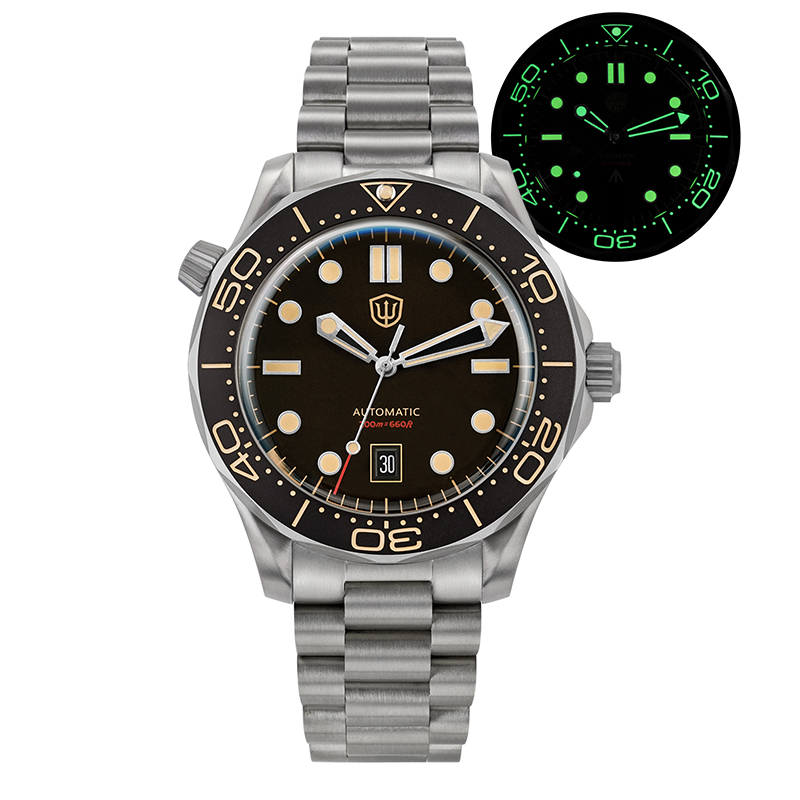Watchdives WD007 V4 Mechanical - Luxury Watch Grade 评论和价格